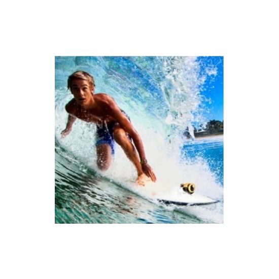 Surf Snowboard Mount