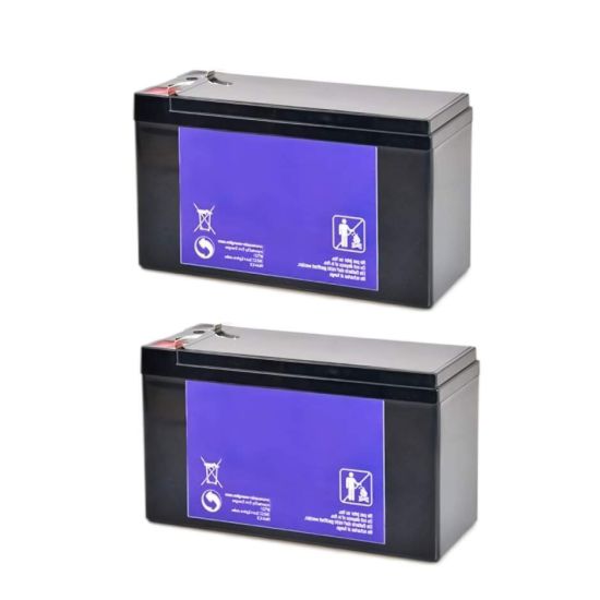 Batteries pour portique Vigicom PS-980