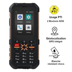 GSM PTI RG170 avec GPS