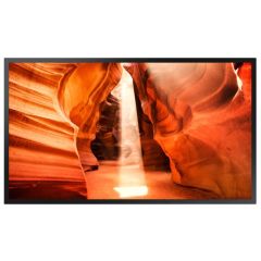 Ecran vitrine OM46N