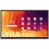 Newline Lyra Pro Lite 98 pouces