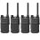 Pak van 4 Hytera  AP515LF