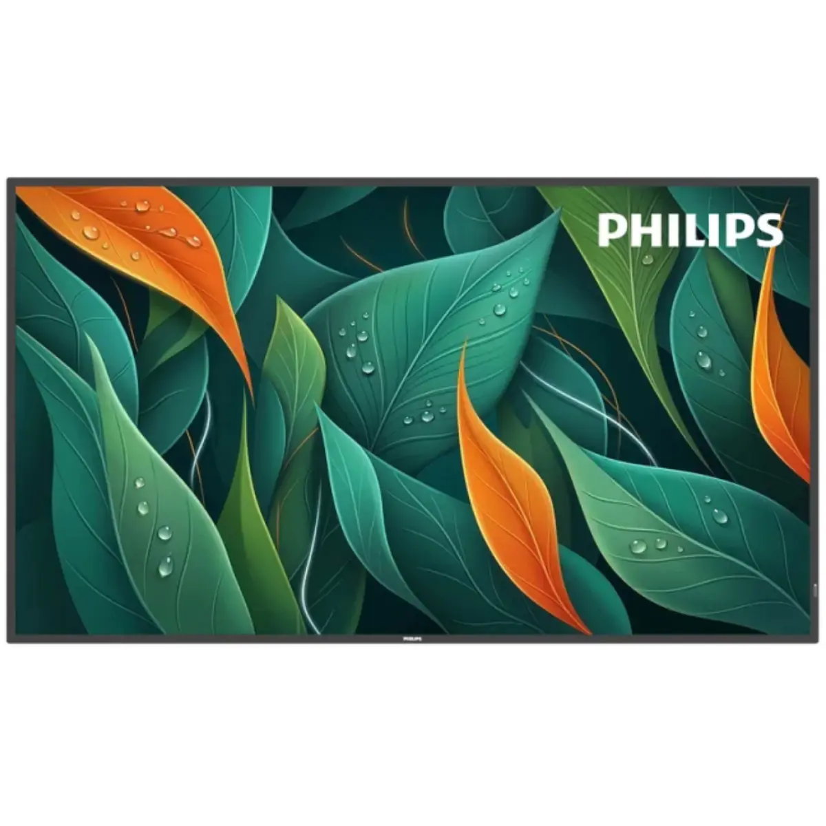 Philips 55BDL4512D detail