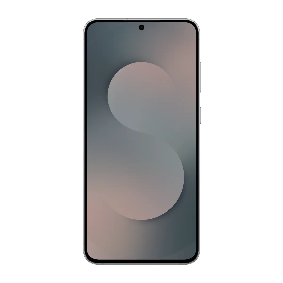 Samsung Galaxy S25 FE - Entreprise Edition