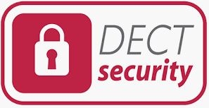 dect security